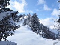 6.1.2017 Karkopf